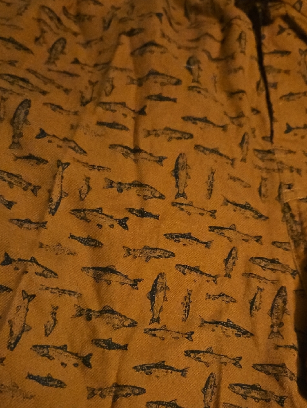 Pjs - Picture 2 of 4